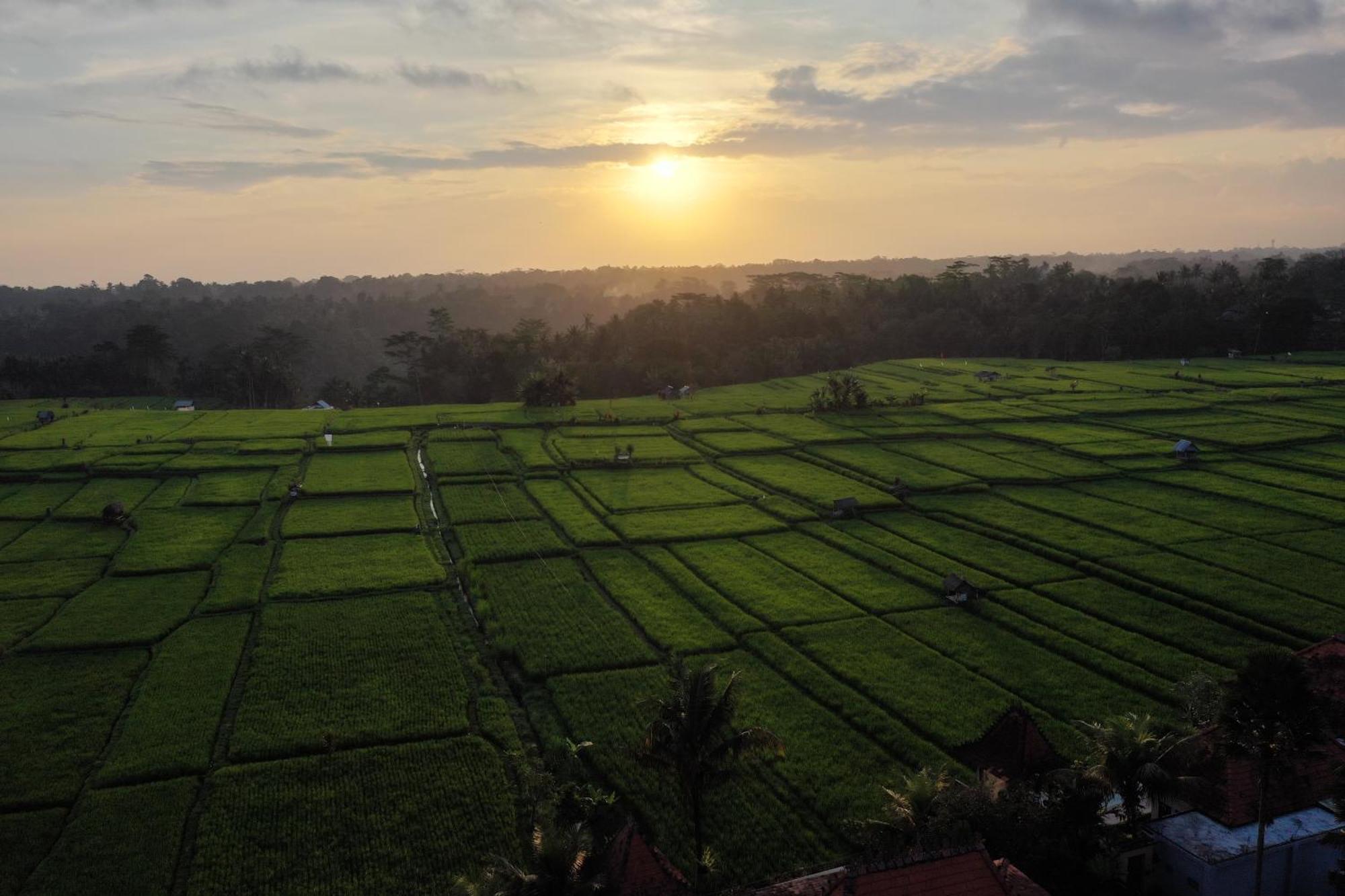 Villa Umah Sunset Ubud Exterior foto